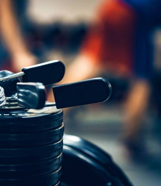 fitness-expander-and-barbell-weight-plates-2026-01-05-05-28-47-utc (1)